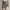 Coquette Casual Skirt Wanita khaki gray photo 1