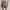 Coquette Casual Skirt Wanita khaki gray photo 2