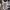 Nike Zoom Vomero Casual and Sporty Shoes  photo 4
