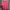Under Armour Sportswear Jersey Wanita pink photo 1