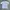 Vintage Mambo Radio Tee photo 4