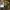 Columbia ⋆ Realtree Cargo pantss photo 5