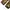 Columbia ⋆ Realtree Cargo pantss photo 7