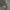 Thisisneverthat ⋆ Multipocket Cargo pantss photo 6