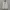 Fila Casual Windbreaker Pria White