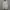 Fila Casual Windbreaker Pria white photo 3