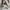 Gore Tex Alunas Minimalist Beige Parka Jacket Casual photo 10