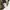 NIKE BIG SWOOSH photo 9