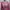 DEL MORE PINK GRUNGE CROSS LONG SLEEVE photo 4