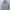 Champion Streetwear Casual Bomber Jacket Pria Gray