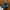 Topi Vintage 90s Denver Broncos Super Bowl XXXIII Champions  photo 3