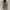 Yves Saint Laurent YSL Luxury Wanita multicolor photo 3