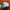 Topi snapback vintage miami dolphins AJD NFL photo 3