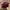 Kangol Burgundy Newsboy Hats England