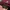 Kangol Burgundy Newsboy Hats England photo 4