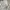 TUMI Voyageur Just In Case® Backpack photo 3