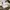 UNIQLO X MERCHANT & MILLF | Sell4nything photo 5