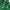 Original Jersey RealBetis Away 2005 Semi Final Copa Del Rey photo 8