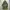 Parka Hoodie Buckaroo photo 8