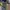 Outdoor Shoes Skechers Bionic Skech Air Trail photo 7