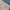 BlackYak Outdoor Cargo Shorts photo 10