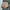 BlackYak Outdoor Cargo Shorts photo 6