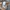 BlackYak Outdoor Cargo Shorts photo 9