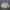 Goldwin Casual Puffer Jacket (Boxy)