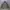Converse Puffer Jacket photo 2