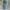 Dickies green hunter sz 34 photo 2