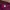 Vintage Lotto Sport Traccia Y2k Magenta Windbreaker Pants 34 photo 7
