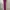 Vintage Lotto Sport Traccia Y2k Magenta Windbreaker Pants 34 photo 3
