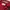 Rusty Y2K Chili Red Utility Cargo Pants Original

- photo 7