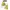 LADYPOPE Front Off Korean Blouse Shirt Body Fit Long Sleeve  photo 2