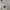 [Termurah] The North Face Box Logo Center Misty Grey photo 3