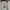 [Termurah] The North Face Box Logo Center Misty Grey photo 2