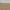Uniqlo Mens Khaki Chino Short Original

-