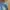 Celana jeans wanita biru muda Skinny jeans nevada biru muda photo 4
