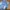 Celana jeans wanita biru muda Skinny jeans nevada biru muda photo 3