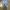 Celana jeans wanita biru muda Skinny jeans nevada biru muda photo 2