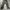 Cargo Jeans Camo photo 2