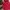Nepa Gorpcore-Double Zipper Outdoor Jacket  photo 5