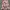 Minimal Floral Dress Sleeveless (Short Dress) – Pink, Cream,