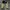 Jack Serika Worker Pants photo 4