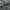Vest CAMO loreng tactical photo 4