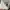 Hanes Vintage Streetwear T-shirt Pria white photo 4