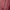 Champion 1919 maroon knit zipper jacket "New york Rochester" photo 6