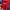 Asics Vintage Sportswear Windbreaker Pria red photo 1