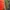 PGA Tour Bright Orange Golf Skort – Sporty Course photo 7