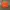 PGA Tour Bright Orange Golf Skort – Sporty Course photo 4